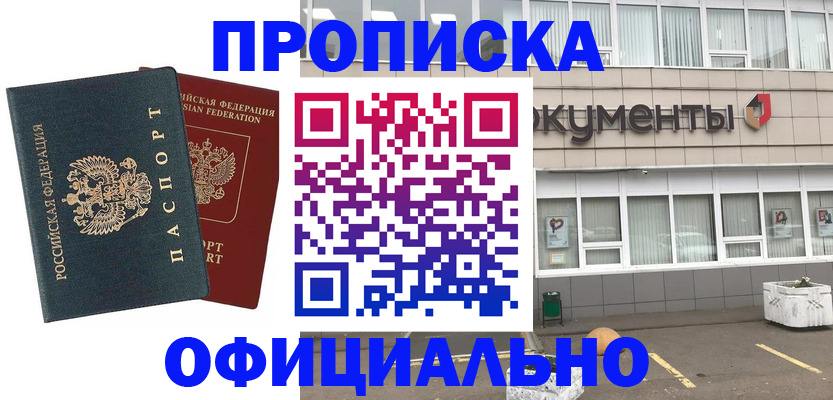 прописка поиск в Тереке